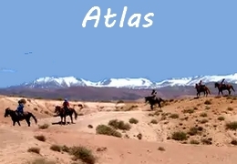 horseback trail ride in Morocco in the Atlas
