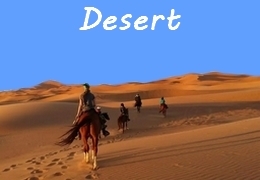 Horseback trail ride in the Morocco desert