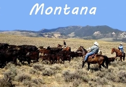 A cheval dans le Montana