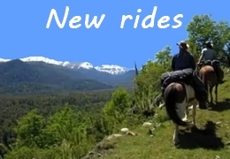 new horse trail rides