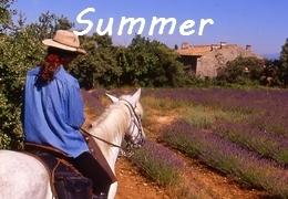 Summer week horseback rides