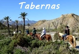 Equestrian holidays in Andalusia