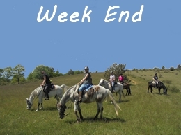 week end horse riding