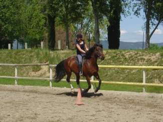 training horse riding holiday