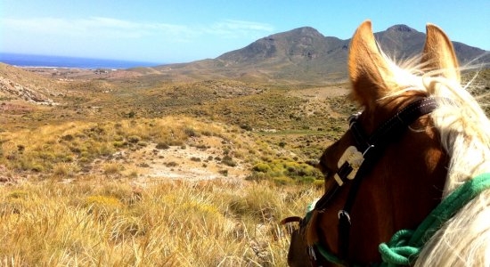 Horse riding in Andalucia