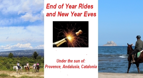 Enf of year horseback riding