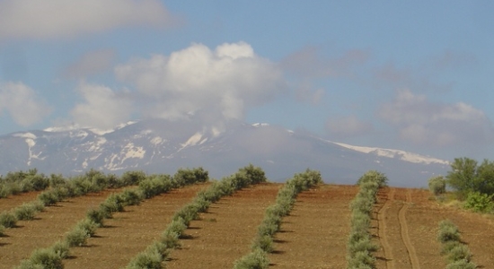 Andalucia horse riding holiday